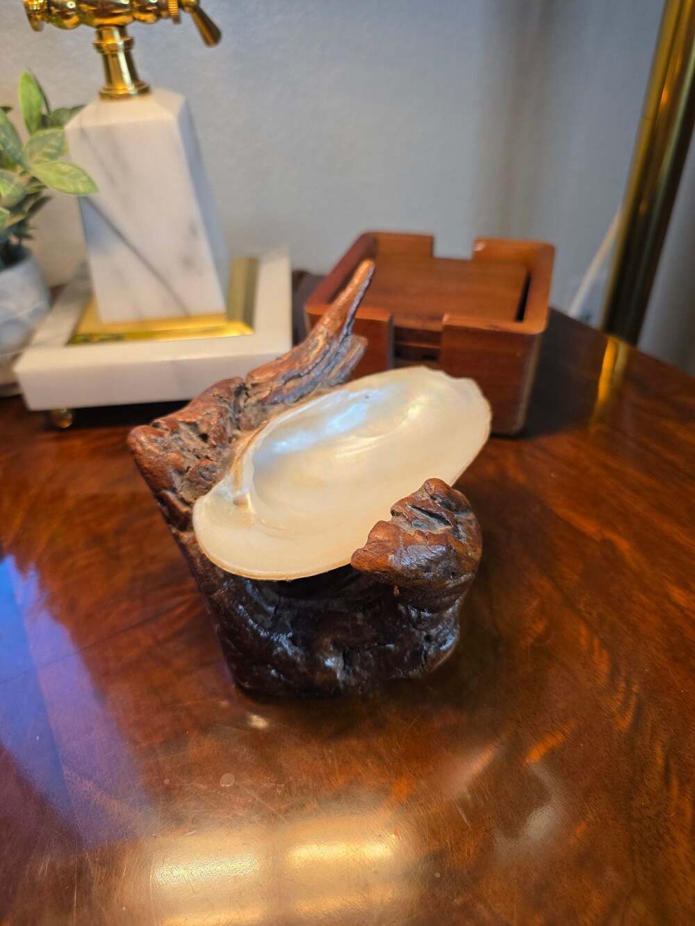 Natural Shell Trinket Dish on Sculptural Driftwood Stand